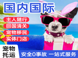 查干湖机场空运国际宠物托运 【国